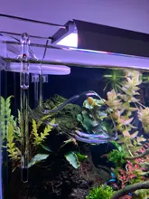 Tanque de vidrio de 6mm, 8mm, 10mm, 12mm, 15mm de grosor, monitor de temperatura en forma de U para acuario