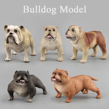 Montessori Animals Bulldog Model Set 5 Styles Simulation Model Toy Action Figures Toys Cognitive Education Models Gifts
Montessori Animals Bulldog Model Set 5 Styles Simulation Model Toy Action Figures Toys Cognitive Education Models Gifts