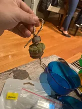 Toy Hamster Wood-Grass Teeth-Grinding Rabbit Chew-Toy Pet-Supplies Pet-Molar Parrot Apple