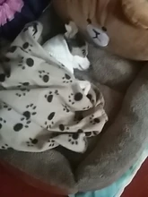 House Dogs-Blanket Dog-Bed Small Removable-Cover Pet Warming Soft Winter Cartoon