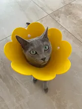 Collares protectores para perros y gatos, cubrebocas de protección curativa para perros y gatos, cubrebocas antimordedura con forma de cono para el cuello