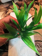 Decor Ornament Decorations-Plants Aquatic-Accessories Plant-Grass Aquarium Fish-Tank