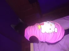 T-Shirt Small Dogs Cartoon Chihuahua Fashion Hot Cute for Pet-Dog-Clothes Cat