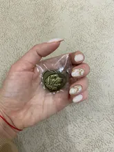 Placa de identificación con grabado gratis para perros y gatos, placa con nombre personalizada, antipérdida, con forma de corazón, colgante para Collar