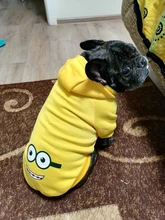 Ropa de dos patas para mascotas, abrigo cálido de lana con dibujos animados para perros y gatos, con orejas grandes, Otoño e Invierno