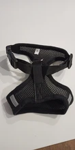Breathable Mesh Small Dog Pet Harness and Leash Set Puppy Cat Vest Harness Collar For