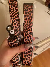 Pet-Accessories Leash-Set Color-Suit Dog-Collar Dogs Leopard Beagle Designe for Pet-Kit