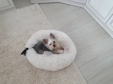 Cama de perro suave juguetes de peluche Donut sátiro ronda perro perrera Ultra lavables suaves perro gato cojín de cama de sofá cálido Venta caliente