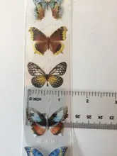 Pegatinas Kawaii de mariposas para mascotas, cinta Washi de 4cm x 35cm, suministros escolares y de oficina, para álbum de recortes, sl2855