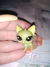 Comprar 5 obtener 2 regalos 3 cm suelto vieja tienda de mascotas de juguete gato cachorro figura Mini figuras de juguete clásico mascota pequeña Juguetes