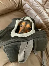 Doble hombro portátil de viaje mochila al aire libre bolsa de transporte perro mascota frente perro bolsa de malla de mochila de la cabeza, suministros para mascotas