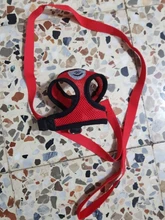 Breathable Mesh Small Dog Pet Harness and Leash Set Puppy Cat Vest Harness Collar For