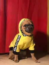 Puppy-Outfit Dogs-Clothing Chihuahua Dog Hoodie Pets Spring Small Fashion Medium