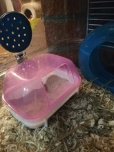 Cuarto de baño hámster para mascotas, Sauna para mascotas, conejo, Chinchilla, rata, inodoros, suministros de Animal PEQUEÑO de limpieza, tamaño S/L