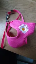 Chaleco para gatos mascota con arnés Floral para perros pequeños, conjunto de arnés y correa de malla acolchada, para cachorros, Chihuahua, Yorkie 10E