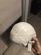 Modelo de accesorios médicos de tamaño real, Cráneo humano, modelo de anatomía anatómica, enseñanza médica, esqueleto, cabeza para estudiar, suministros de enseñanza