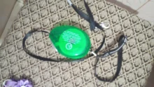 Dog-Leash Extending Small Dogs Retractable Chihuahua Automatic Yorkshire Puppy Nylon