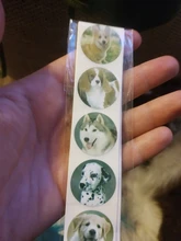 500 Uds lindo Animal perro pegatinas jungla fiesta cumpleaños regalo decoraciones torta etiquetas juguetes de fiesta para niños etiqueta personalidad álbum de recortes 1in