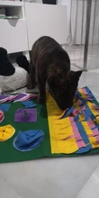 Alfombrilla de entrenamiento para perros y mascotas, manta de olfting, almohadillas de lana desmontables, esterilla para perros, alivia el estrés, rompecabezas, juguete para mascotas, almohadilla para la nariz
