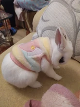 Ropa de Gato cálida para gatos, ropa de primavera y Gato, de lana suave, gatito, gatito, abrigos para gato, chaqueta, disfraces