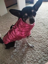 Ropa para perros pequeños ropas impermeables para perro cachorro mascota chaqueta invierno cálido chaleco perro abrigo ropa para Chihuahua Bulldog Francés