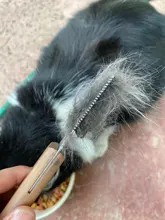 Cuchillo de eliminación de pelo de mascotas, cepillo para perros, herramientas de aseo, recortador de pelusa para perros, suministros de peine para mascotas