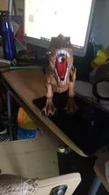 Juguete eléctrico de dinosaurios para caminar, para poner huevos juguete mecánico de gran tamaño, Robot con sonido ligero