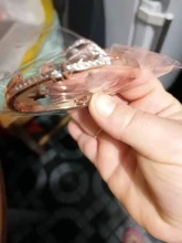 Conjunto de relojes con cielo estrellado para mujer, pulsera de cuero, deportivo, de cuarzo, informal, 2020