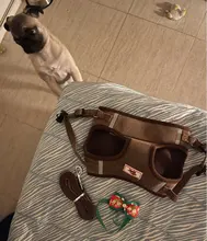 Arnés ajustable para perros y gatos, chaleco reflectante para cachorros y gatos, con cuerda de tracción, accesorios para mascotas, chaleco transpirable