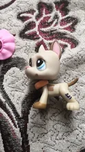 LPS gato raro tienda de mascotas de juguete lindo Perro Gran Danés perro collie perro spaniel perro niños juguete de colección con accesorios