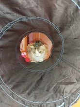 Juguete de túnel para mascotas, tubos de juego con 2 agujeros, bolas plegables, antiarrugas, para cachorros, hurones y conejos