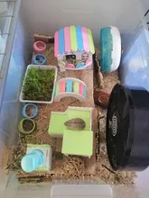 Pequeño comedero para erizos para mascotas, cuencos de cerámica dorados para alimentación de hámster, tazón para agua y alimentos, suministros para mascotas