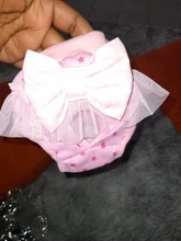 Pantalones fisiológicos sanitarios para mascotas, pañal lavable para perros, bragas, ropa interior para menstruación