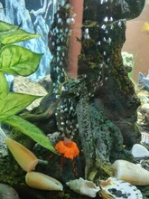 Paisajismo del tanque de peces, decoración de acuario con forma volcánica, adornos de rocalla, herramienta de oxigenación, 2021