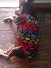 Chaleco para perros, ropa de dibujos animados, chaleco con Calavera, camiseta para perros y gatos, cachorro suave, ropa para perros, camiseta chaleco 2XS-5XL 25Q