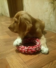 Rope-Rings Toys Molar Teeth-Bite-Resistant Large Dog Chew-Toy Dog-Medium Cotton 1PC