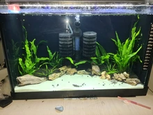 BIO-SPONGE-FILTER Air-Pump Aquarium Fish-Tank 1pcs