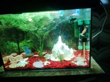 Caja de aislamiento de cría de pecera de acrílico transparente, soporte para incubadora de acuario