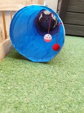 Juguete de túnel para mascotas, tubos de juego con 2 agujeros, bolas plegables, antiarrugas, para cachorros, hurones y conejos