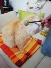 Productos para mascotas Gato juguetes hierba gatera Natural Lollipop forma mascotas Molar dientes juguete del gato Navidad Año nuevo regalo