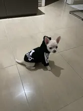 Sweatshirt Hooded Adidog Four-Seasons Pet-Jacket Small Cotton Warm And Medium-Sized Hot-Sale