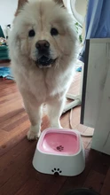 Portátil de agua potable perro tazón flotante 1.5L Pet no mojar la boca de gato sin derrame bebiendo dosificador de agua para perro