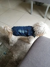 Chaleco vaquero de primavera para perros pequeños, ropa de Tzu para perros Yorkshire Terrier, ropa estilo vaquero para cachorros, chaqueta para Chihuahua, ropa para gatos