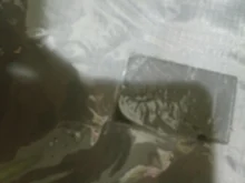 Pouch Toiletry-Bag Wash-Bags Cosmetic-Organizer Hanging Neceser Cute Makeup Travel Waterproof