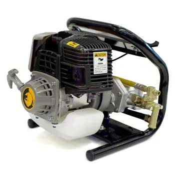 Sprayer BZS 257 P. Sprayer Benza a gasoline for disinfection and pest control.
Sprayer BZS 257 P. Sprayer Benza a gasoline for disinfection and pest control.