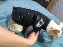 Dog Coat Jacket Pet-Dog-Clothes Down French-Bulldog Chihuahua Winter Fashion Small Medium-Sized