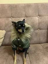 Hoodie Clothing Pet-Jacket Dog-Coat Small Dogs Chihuahua For Yorkshire Winter Cotton