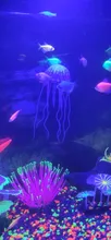 Ornament Jellyfish Aquarium-Decoration Fish-Tank Aquatic-Landscape Underwater-Live-Plant