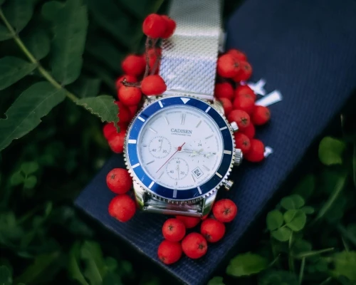 Кварцевые часы CADISEN C9067 - цена