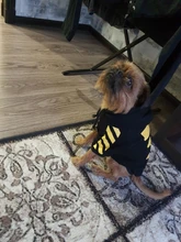 SUPREPET-ropa para perro Bulldog francés, capucha con patrón de rayas, chaqueta para perro Bulldog francés